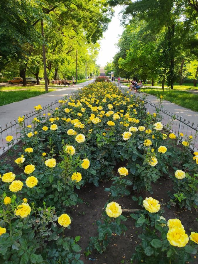 1-Комн. Квартира В Центре Возле Козак Палаца! Zaporizhia Zewnętrze zdjęcie