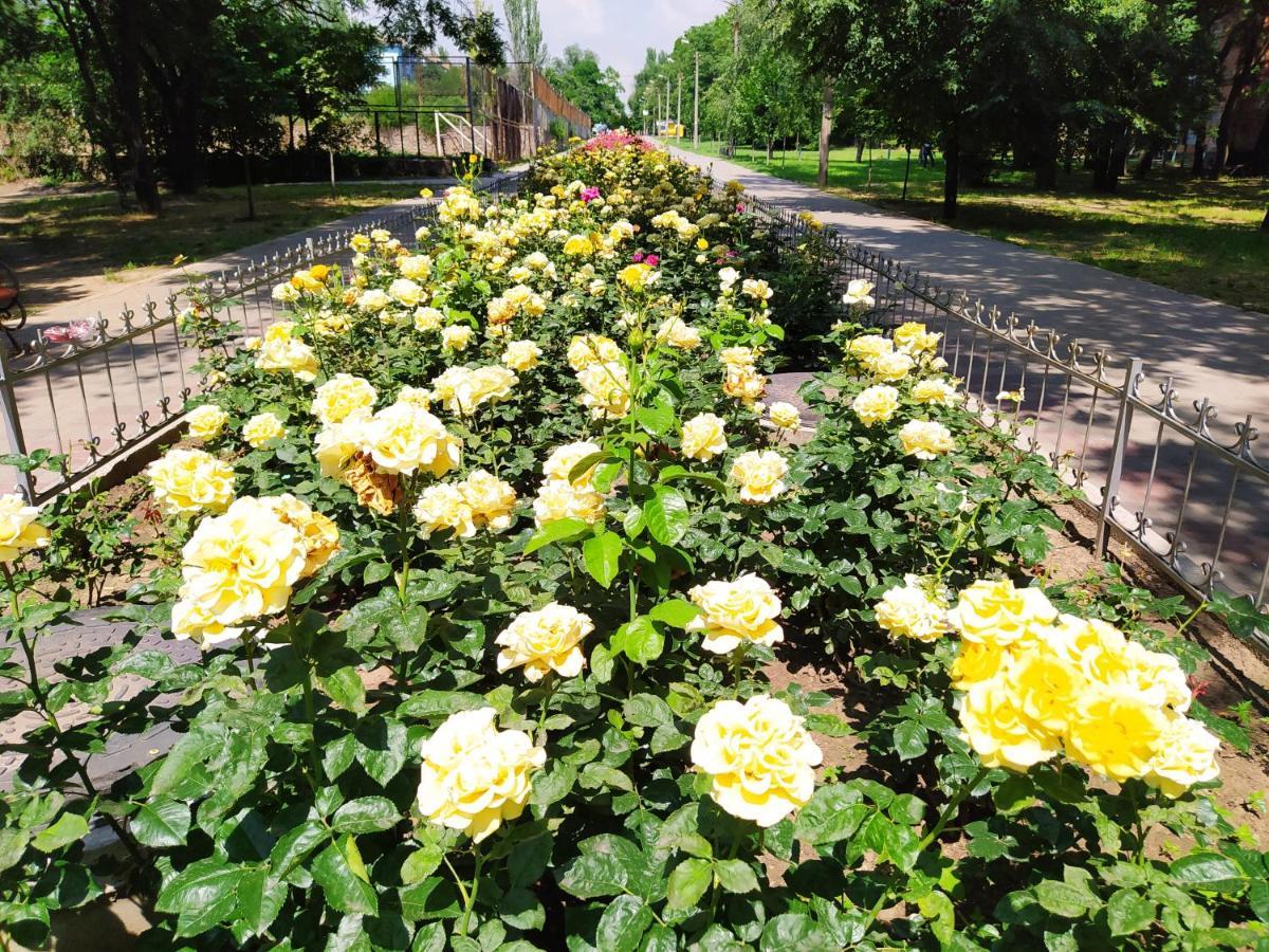 1-Комн. Квартира В Центре Возле Козак Палаца! Zaporizhia Zewnętrze zdjęcie